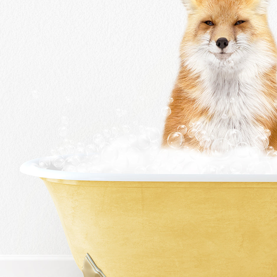 a fox is sitting in a bathtub full of bubbles