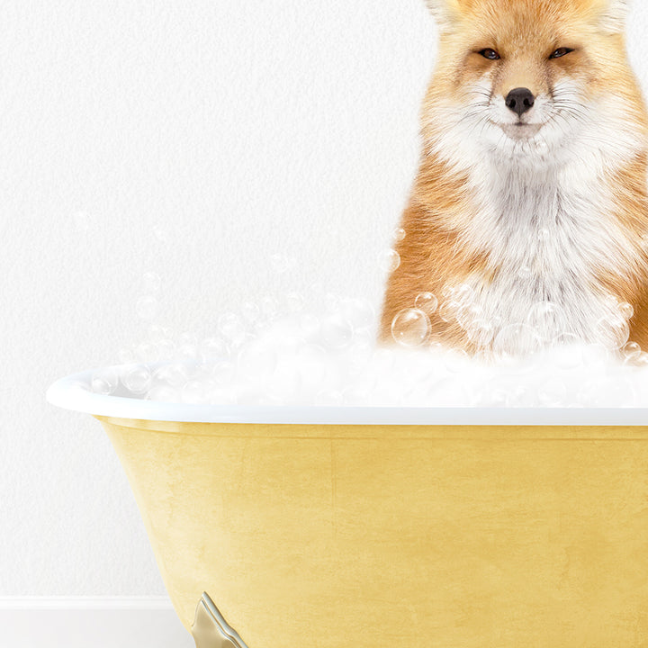 a fox is sitting in a bathtub full of bubbles