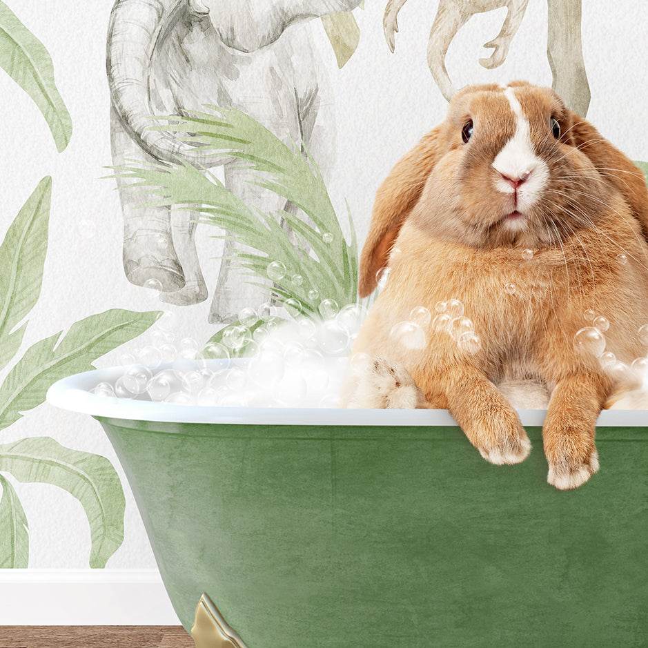 a rabbit sitting in a bathtub full of foam