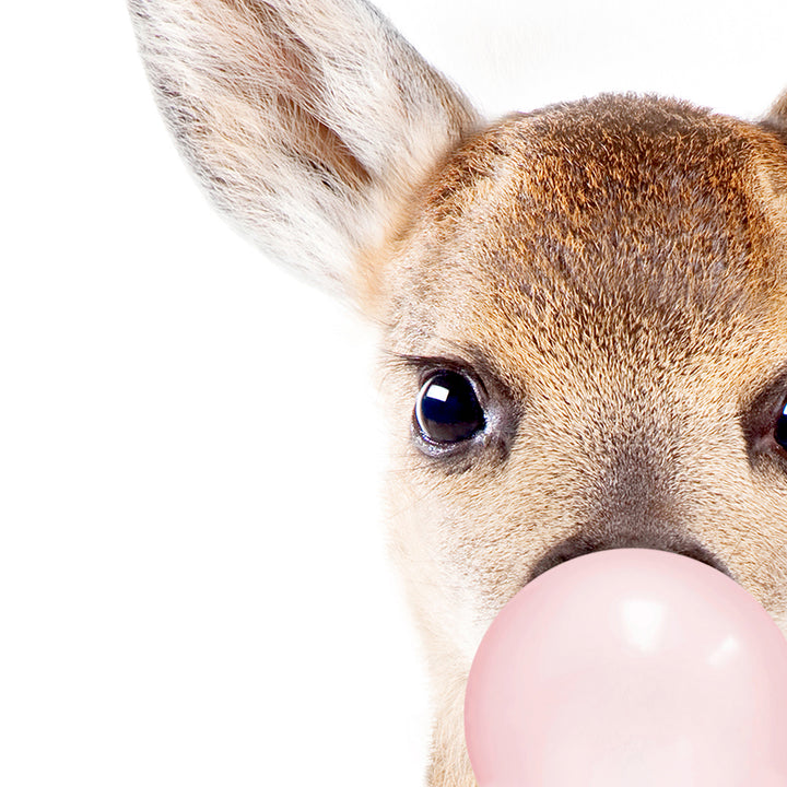 Baby Deer Blowing Pink Bubble Gum