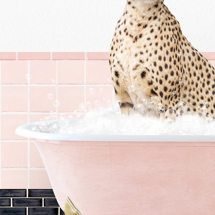 a cheetah sitting on top of a bathtub filled with foam