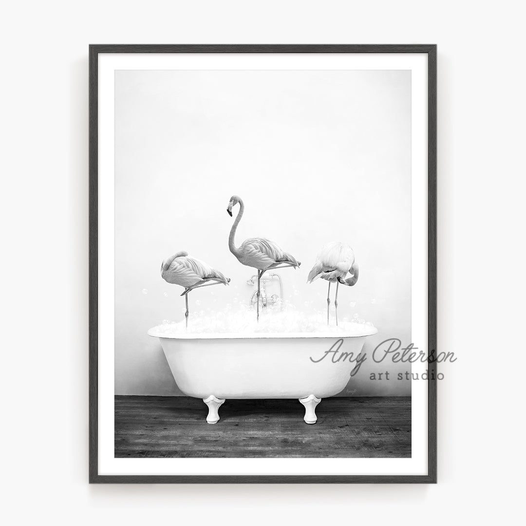 a black and white photo of three flamingos in a bathtub