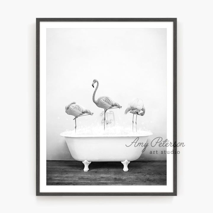 a black and white photo of three flamingos in a bathtub