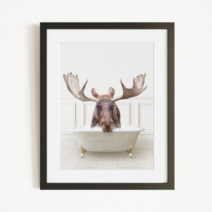 A moose with large antlers is sitting in a white bathtub, with its head submerged in the water.