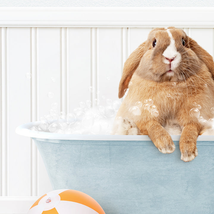 a rabbit sitting in a bathtub full of bubbles