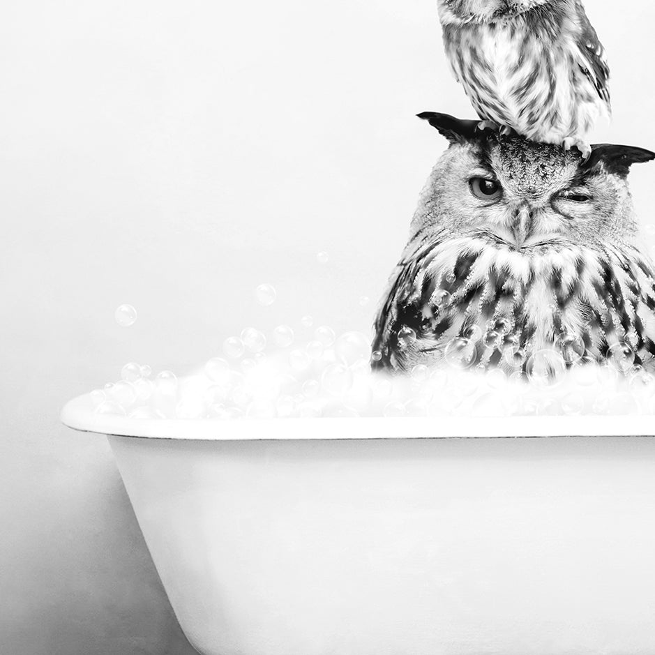 a couple of owls sitting on top of a bath tub