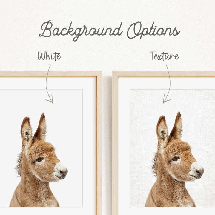 a close-up of a donkey's head, with two framed pictures side by side. The text above the images indicates that there are two different backgrounds available, with one being white and the other being a textured background.