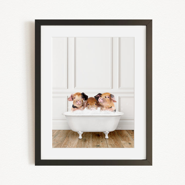 A framed image of three adorable pigs sitting in a white bathtub, enjoying a relaxing bath.