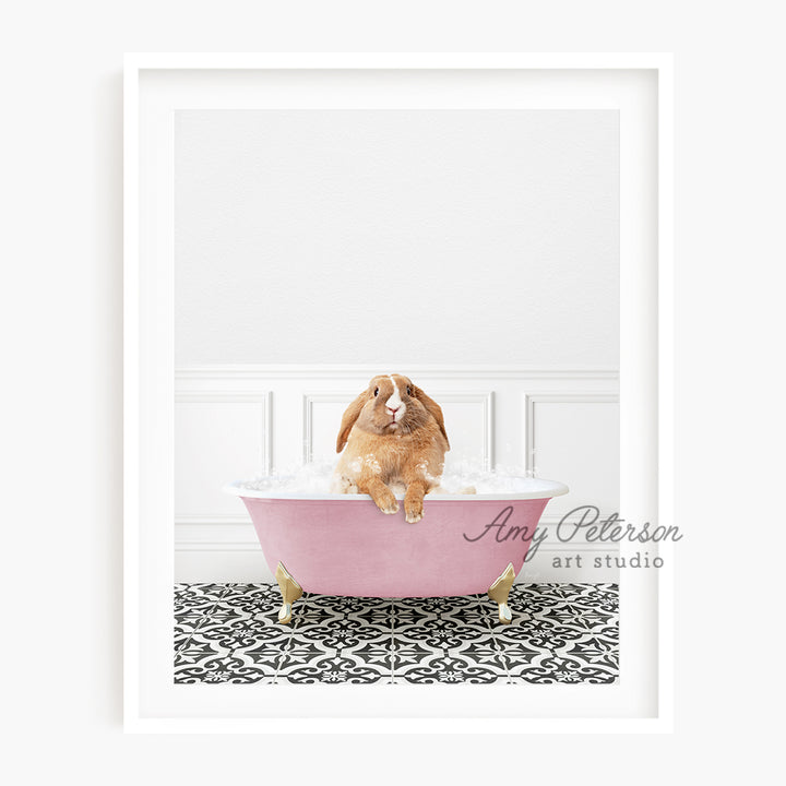 a brown dog sitting in a pink bath tub