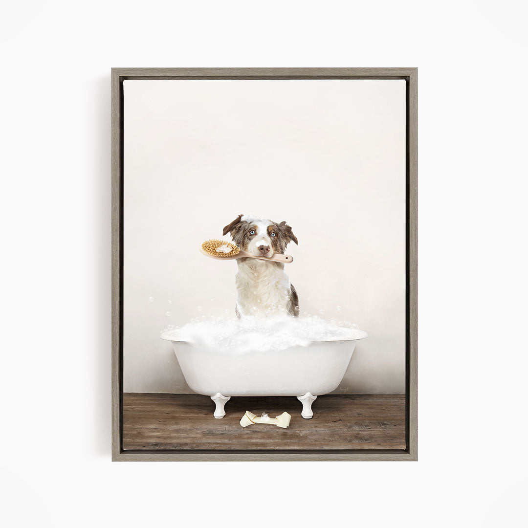 Australian Shephard in Rustic Bath Style Lots of Foamy Bubbles