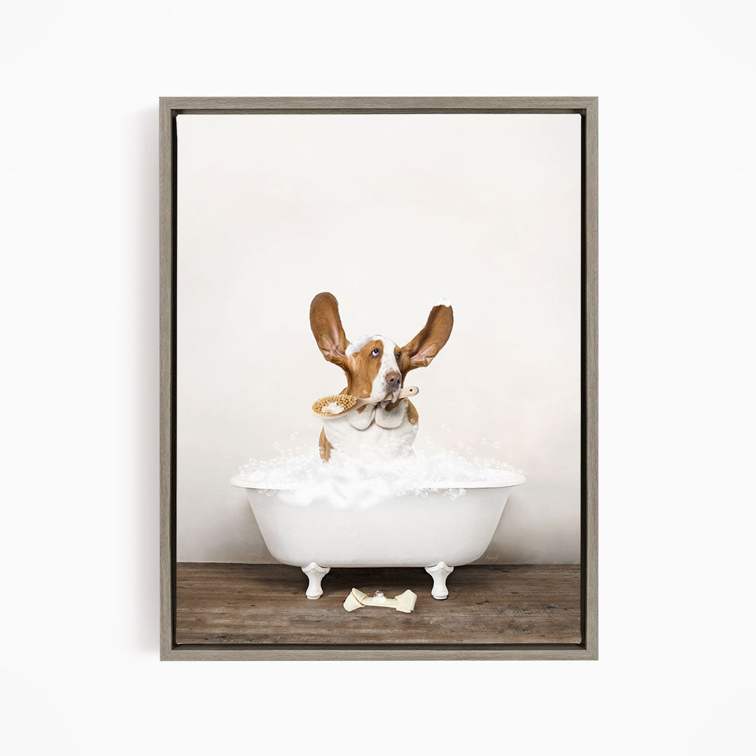 Basset Hound in Rustic Bath Style Lots of Foamy Bubbles