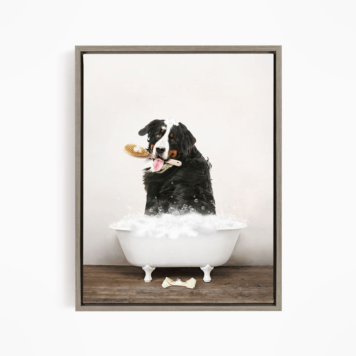 Bernese Mountain Dog in Rustic Bath Style Lots of Foamy Bubbles