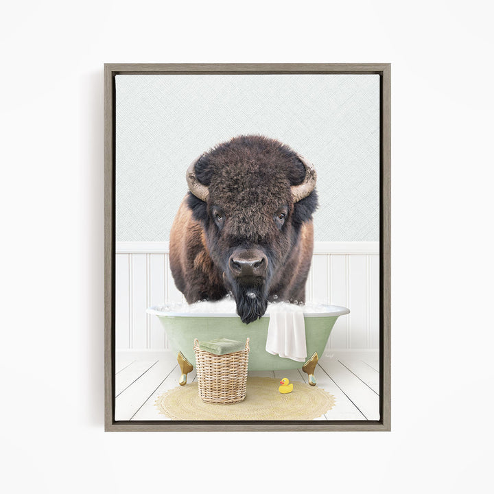 Bison in Cottage Green Bath