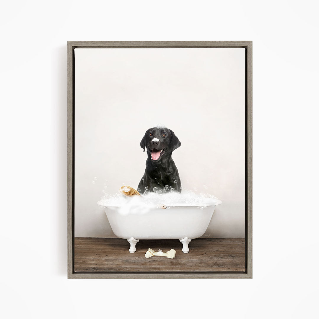 Black Lab in Rustic Bath Style Lots of Foamy Bubbles