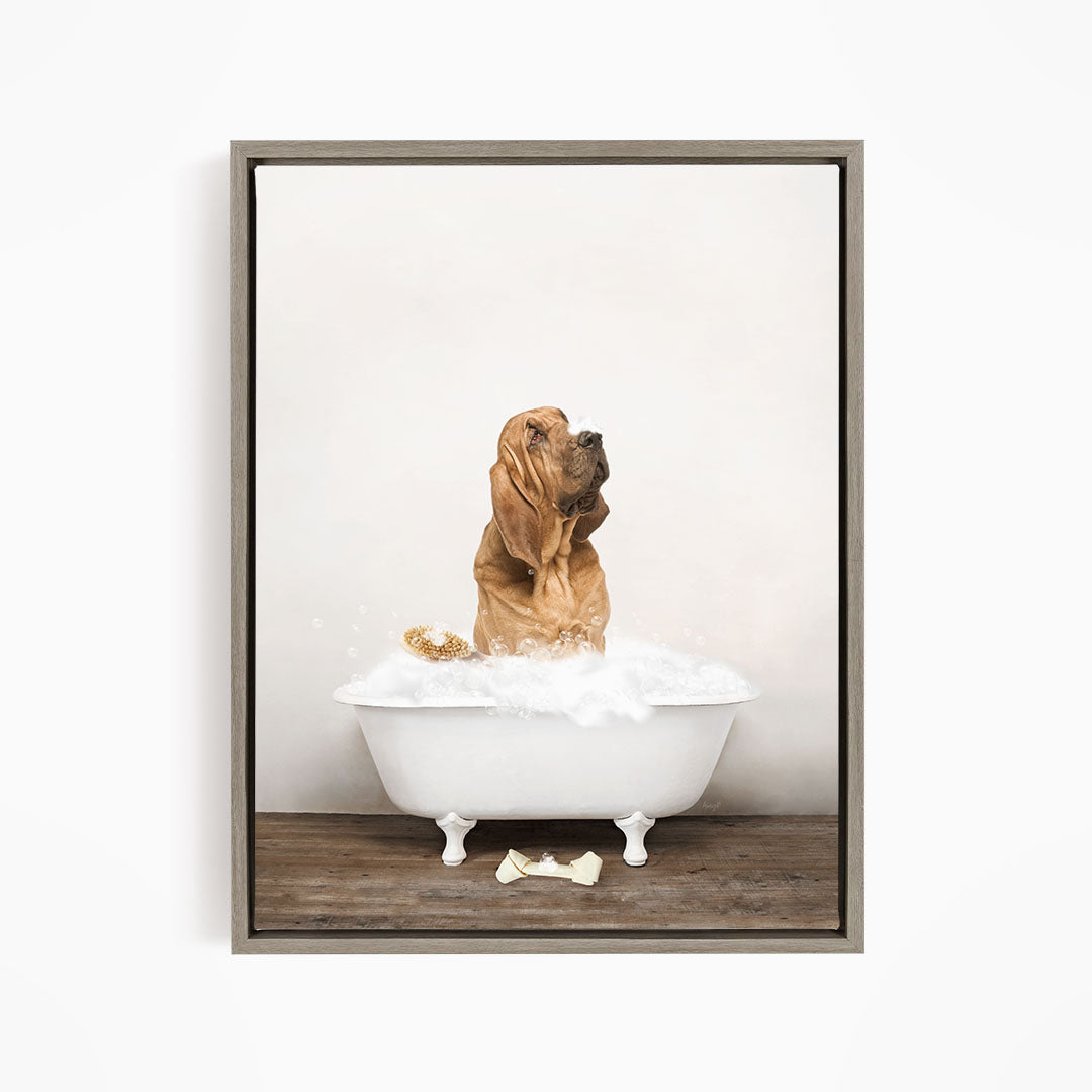 Bloodhound in Rustic Bath Style Lots of Foamy Bubbles