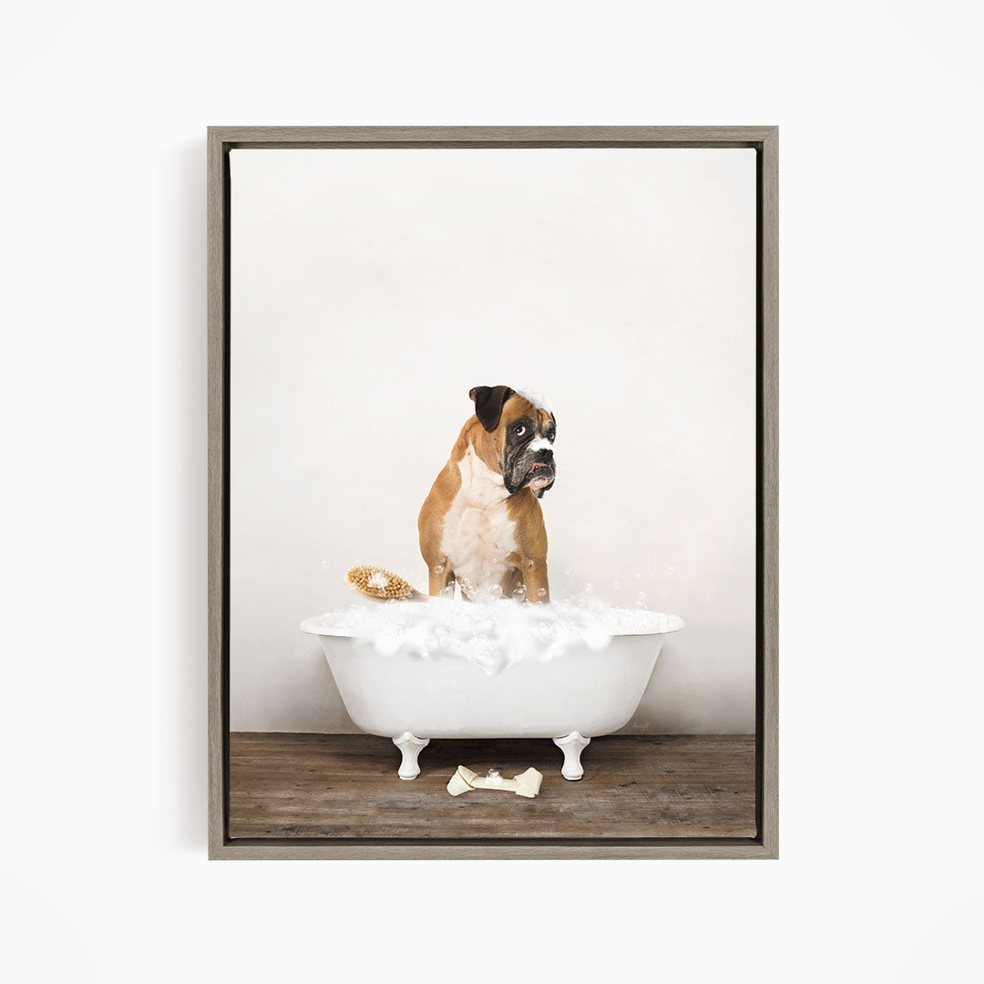 German Boxer in Rustic Bath Style Lots of Foamy Bubbles