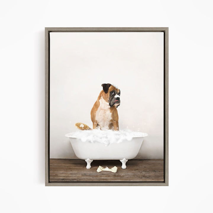 German Boxer in Rustic Bath Style Lots of Foamy Bubbles