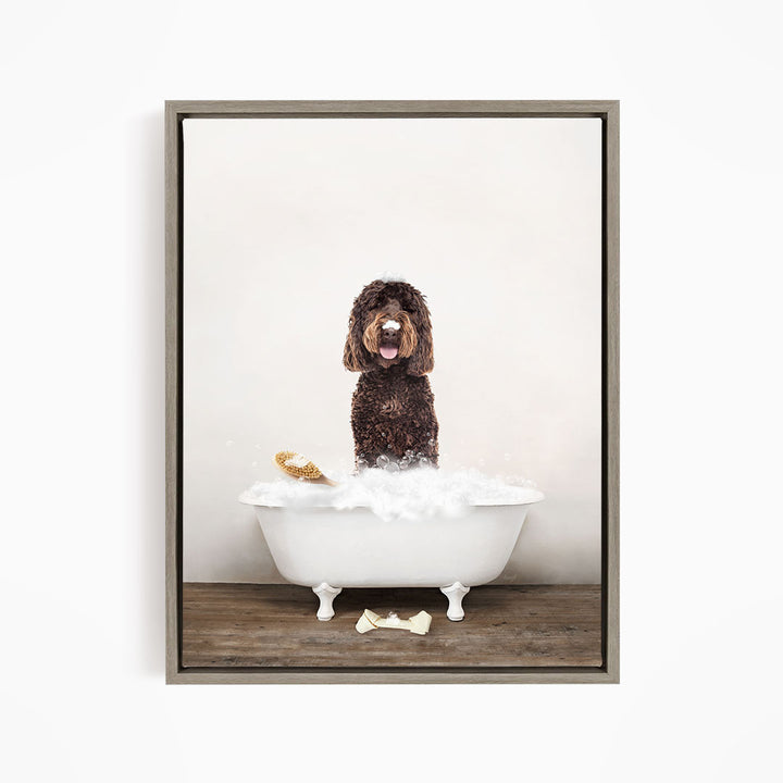 Chocolate Labradoodle in Rustic Bath Style Lots of Foamy Bubbles