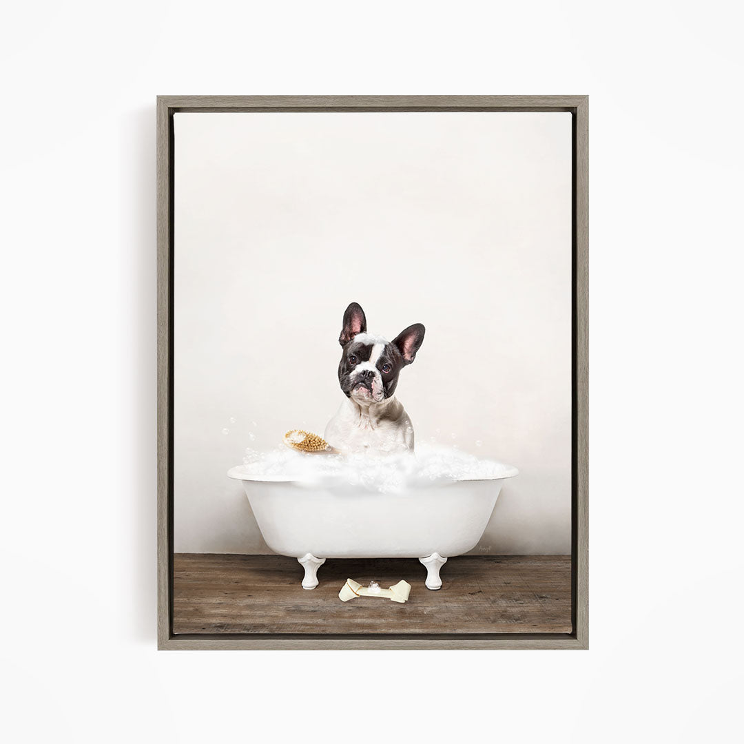 French Bulldog in Rustic Bath Style Lots of Foamy Bubbles