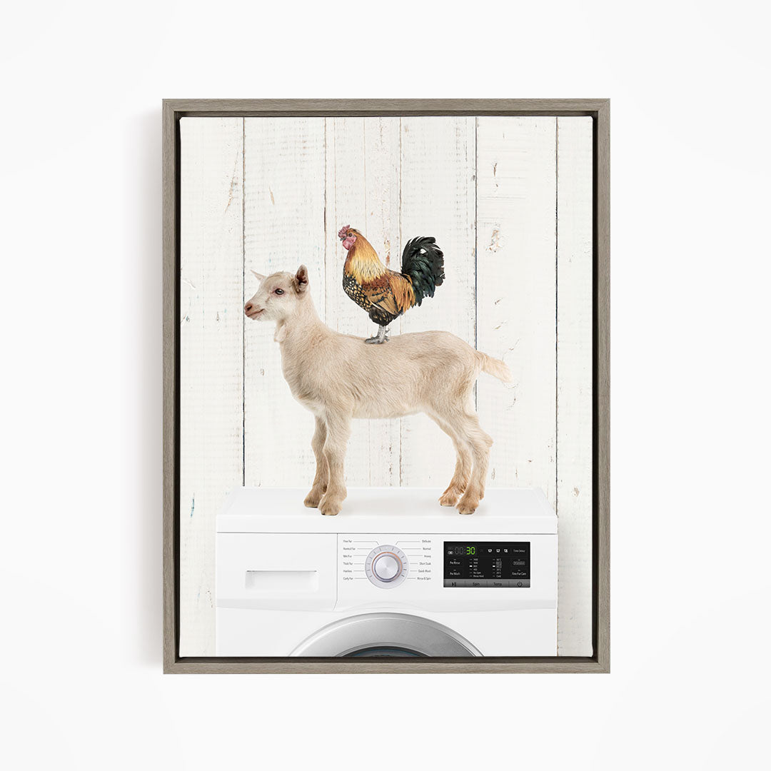 Goat and Rooster On Washing Machine - Farmhouse Wall