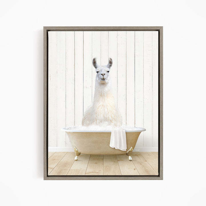 Llama in Farmhouse Bath