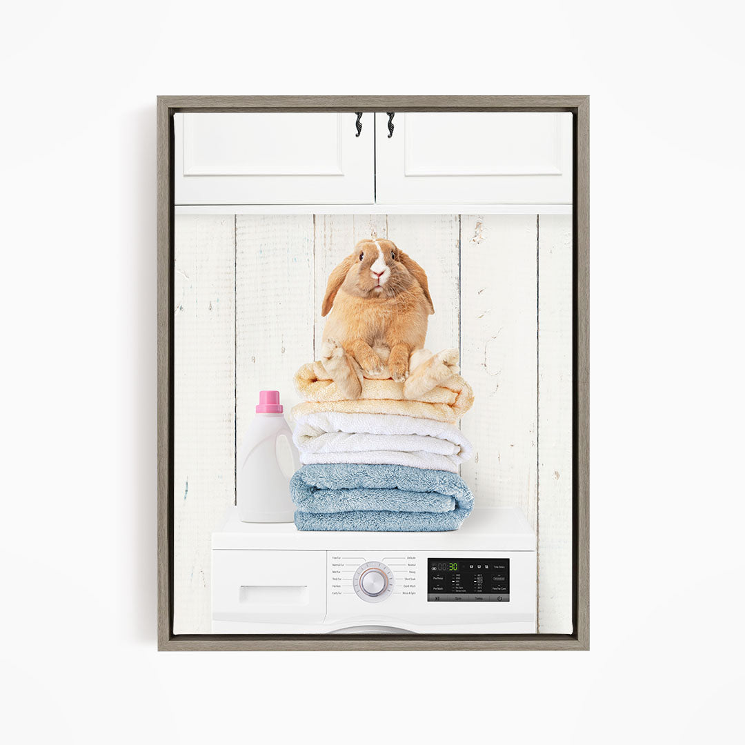 Pudgy Bunny on Folded Towels on Washing Machine - Farmhouse Wall