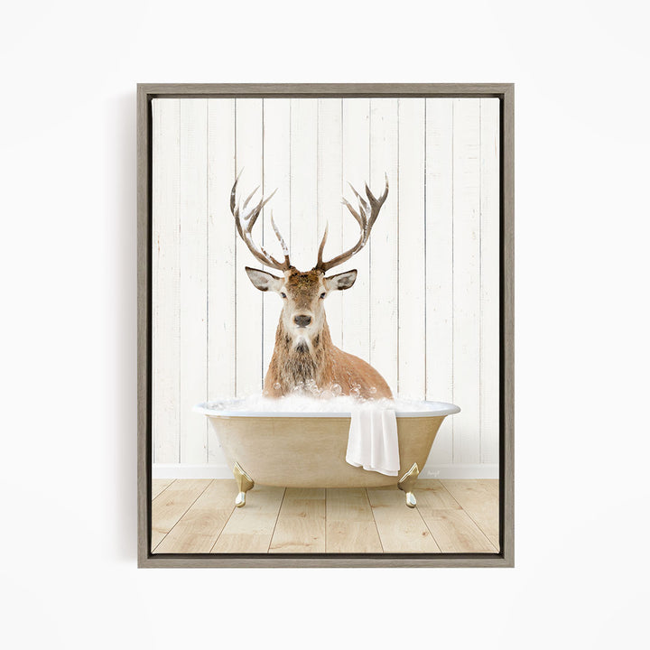 Male Deer in Farmhouse Bath