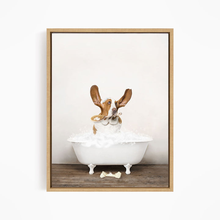 Basset Hound in Rustic Bath Style Lots of Foamy Bubbles