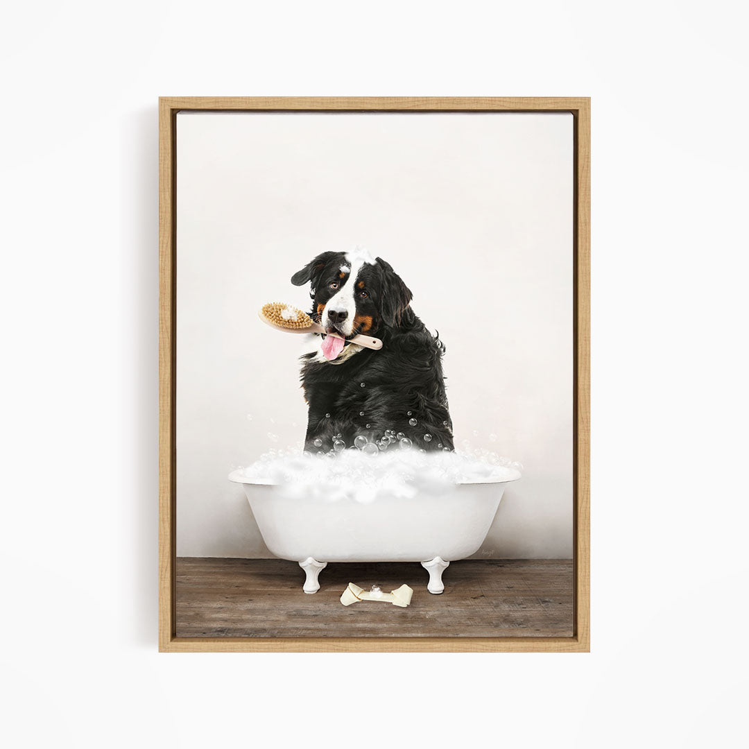 Bernese Mountain Dog in Rustic Bath Style Lots of Foamy Bubbles