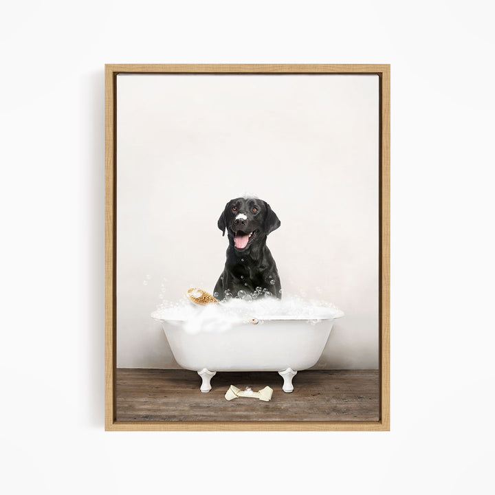 Black Lab in Rustic Bath Style Lots of Foamy Bubbles