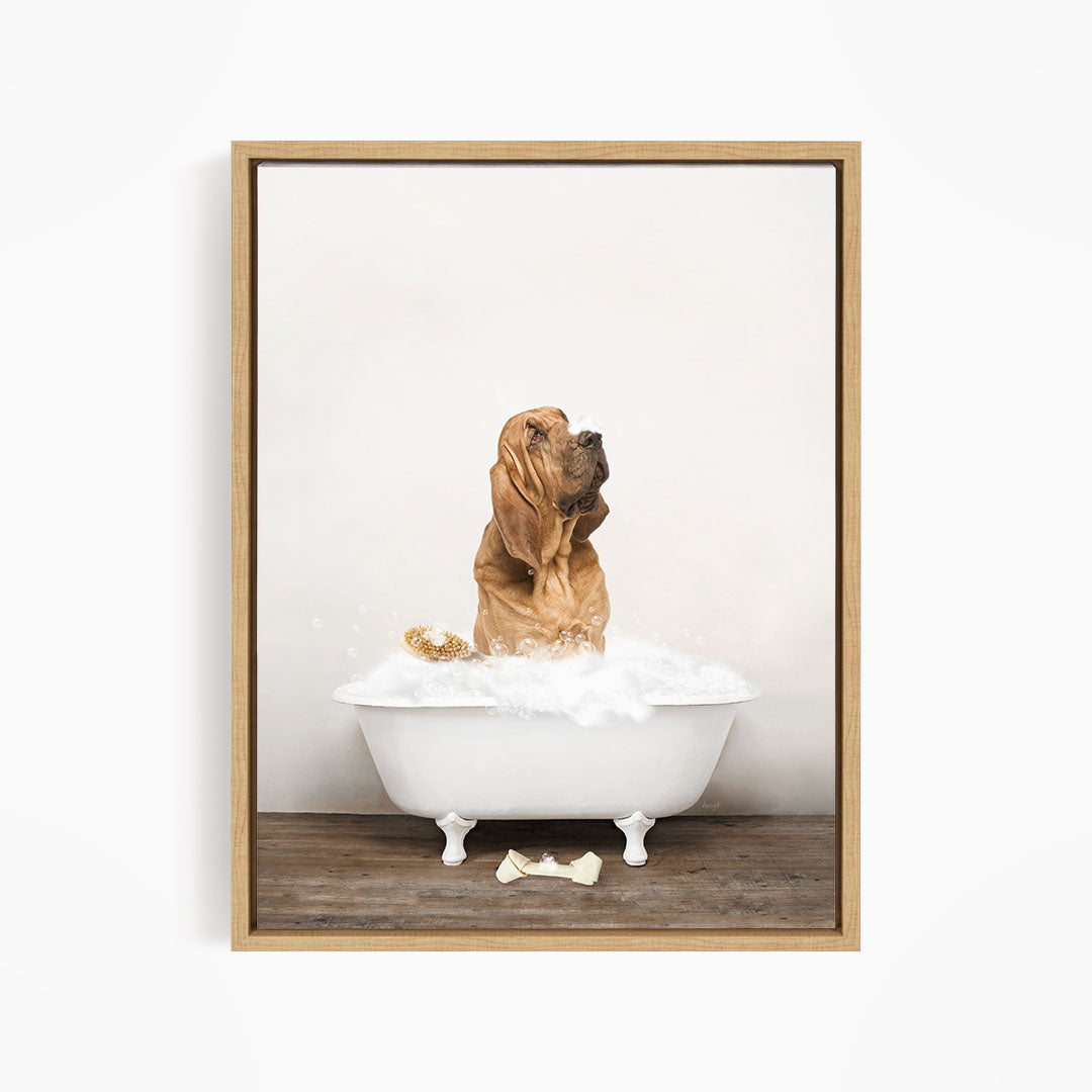 Bloodhound in Rustic Bath Style Lots of Foamy Bubbles