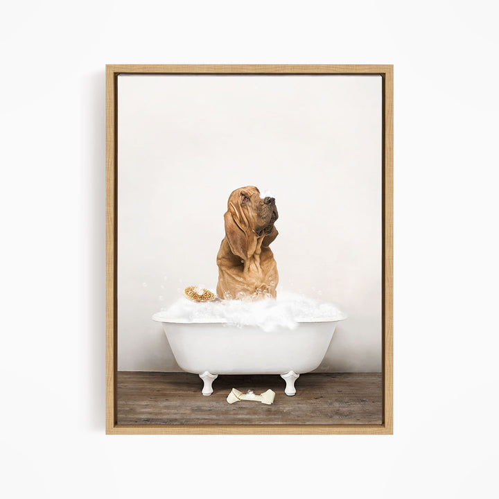 Bloodhound in Rustic Bath Style Lots of Foamy Bubbles