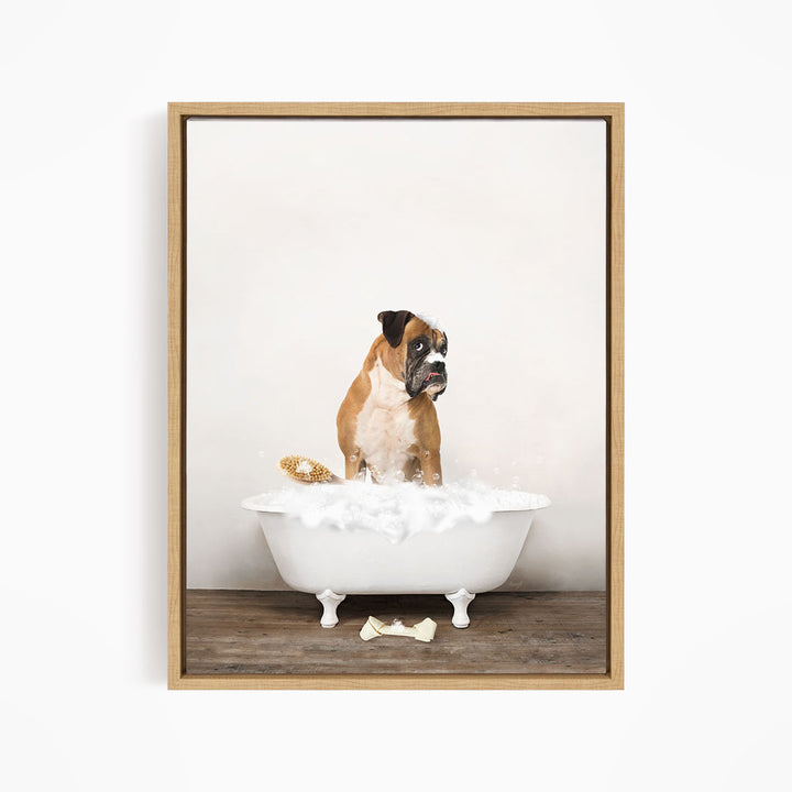German Boxer in Rustic Bath Style Lots of Foamy Bubbles