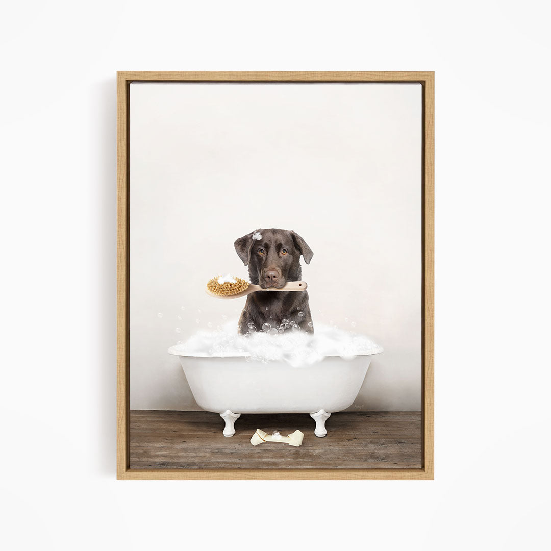Chocolate Lab in Rustic Bath Style Lots of Foamy Bubbles