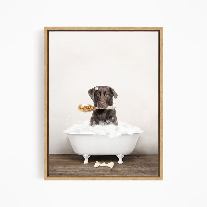 Chocolate Lab in Rustic Bath Style Lots of Foamy Bubbles