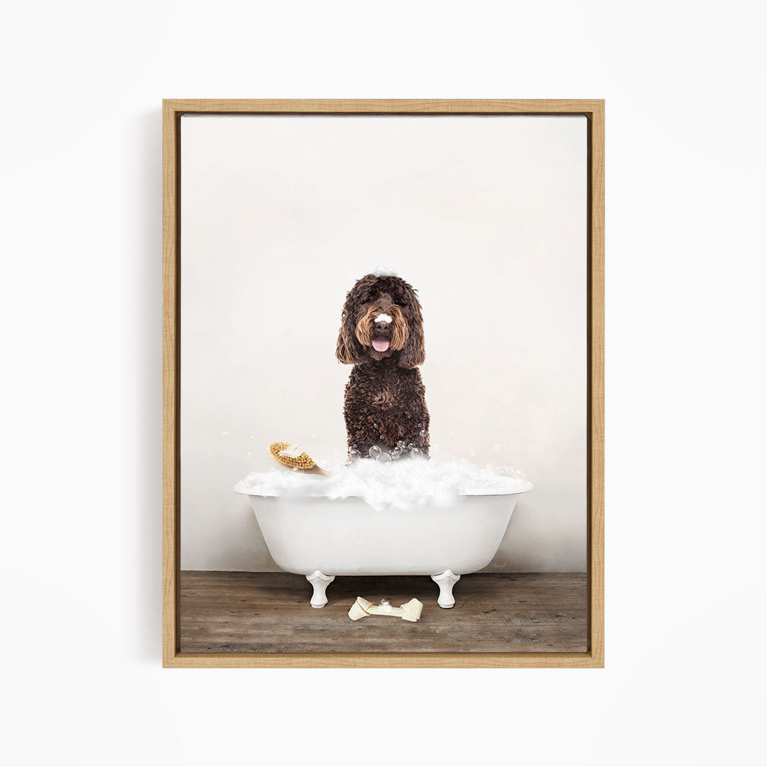 Chocolate Labradoodle in Rustic Bath Style Lots of Foamy Bubbles