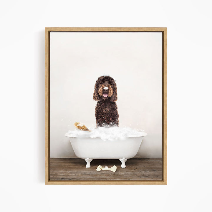 Chocolate Labradoodle in Rustic Bath Style Lots of Foamy Bubbles