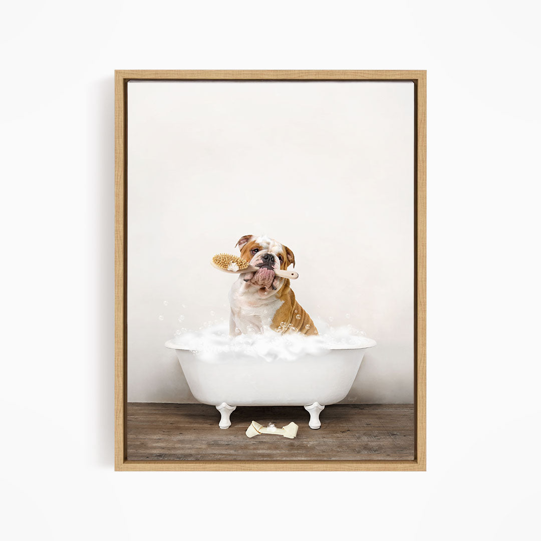 English Bulldog in Rustic Bath Style Lots of Foamy Bubbles