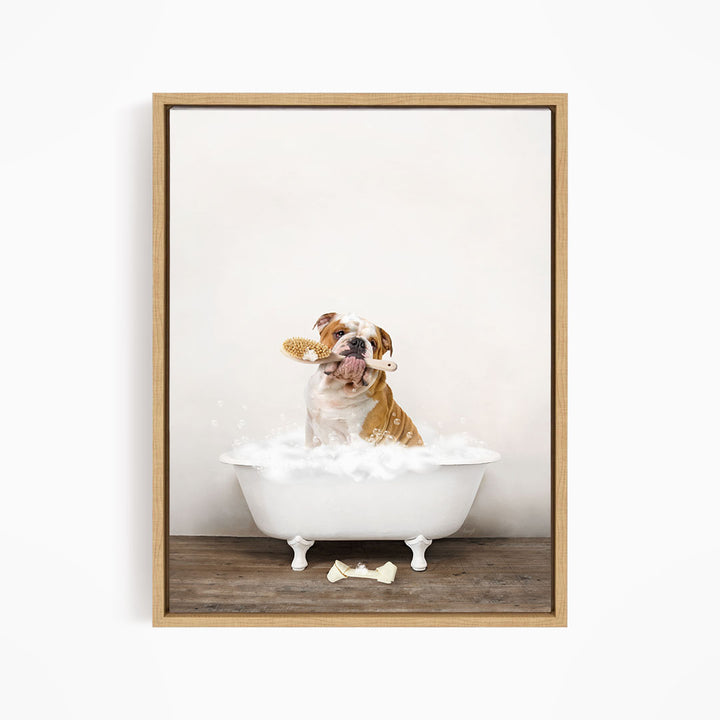 English Bulldog in Rustic Bath Style Lots of Foamy Bubbles