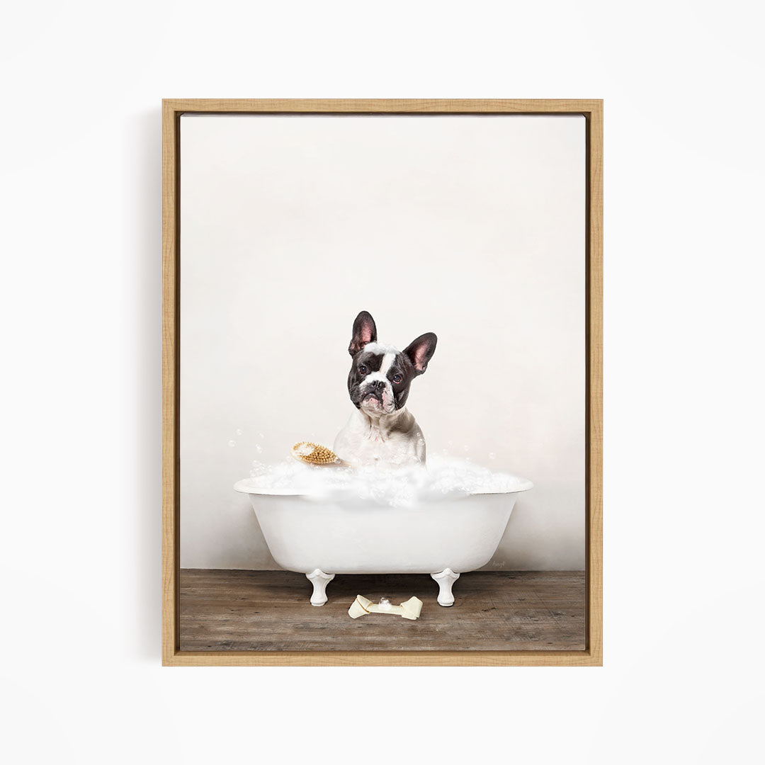French Bulldog in Rustic Bath Style Lots of Foamy Bubbles