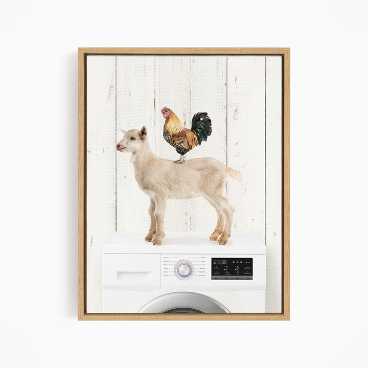 Goat and Rooster On Washing Machine - Farmhouse Wall