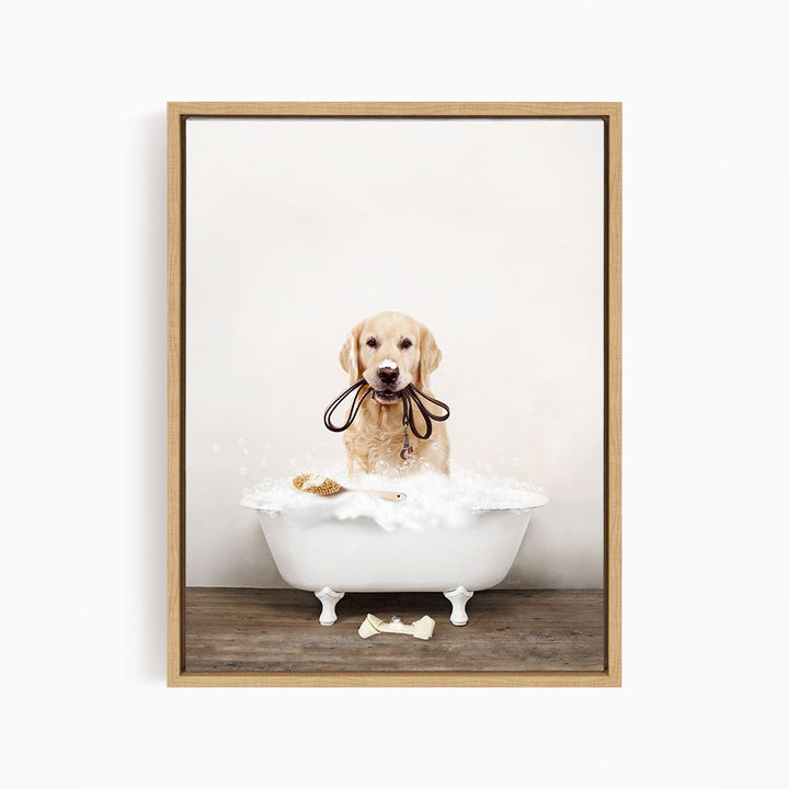 Golden Retriever in Rustic Bath Style Lots of Foamy Bubbles