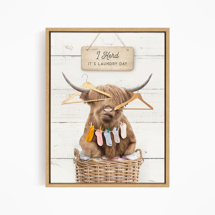 Highland Cow with Hangers and Socks - Farmhouse Wall Funny Sayings