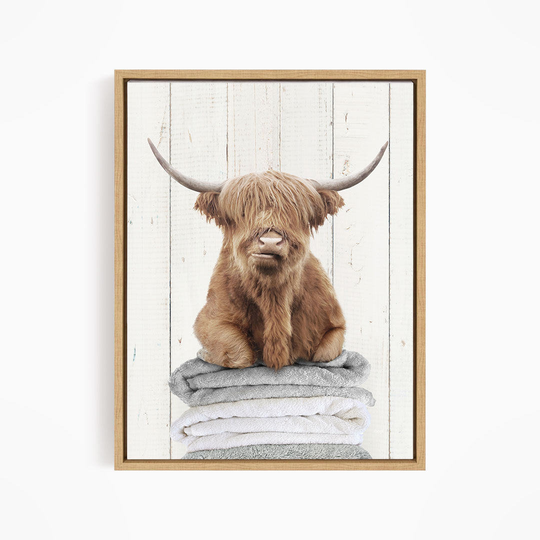 Highland Cow on Folded Towels - Farmhouse Wall