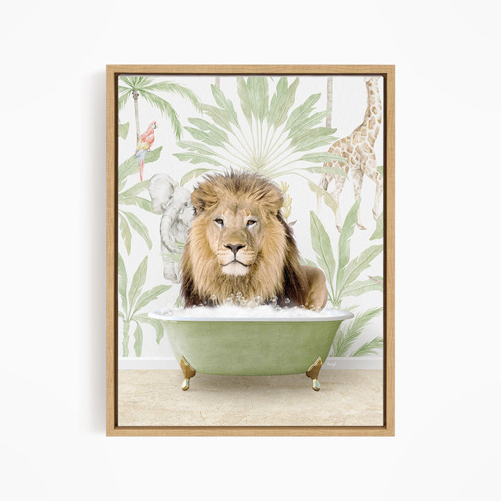 Male Lion in Safari Bath