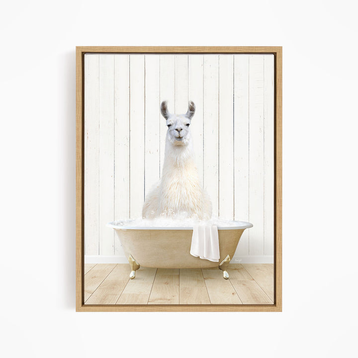 Llama in Farmhouse Bath