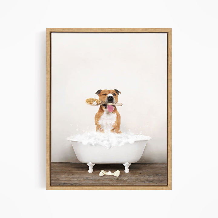 Pitbull in Rustic Bath Style Lots of Foamy Bubbles