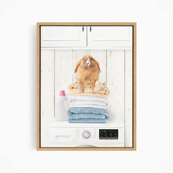 Pudgy Bunny on Folded Towels on Washing Machine - Farmhouse Wall