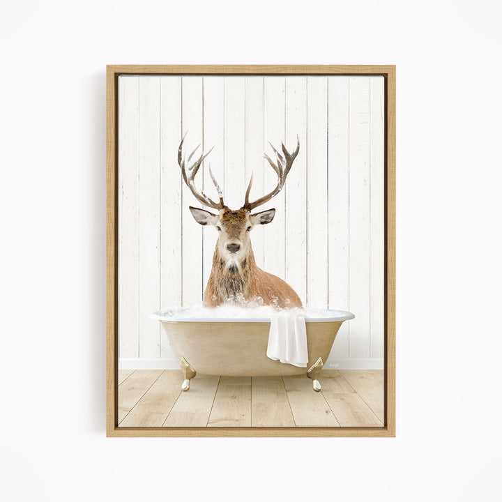 Male Deer in Farmhouse Bath