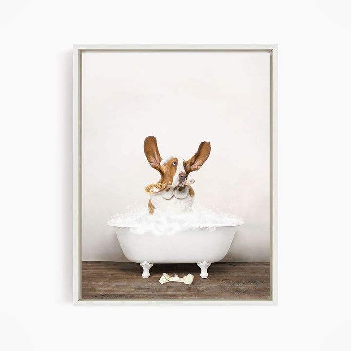 Basset Hound in Rustic Bath Style Lots of Foamy Bubbles